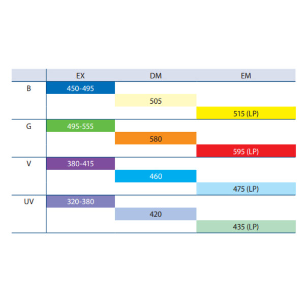 Euromex mikroskop BS.3153-PLFi, trino, 40x-1000x