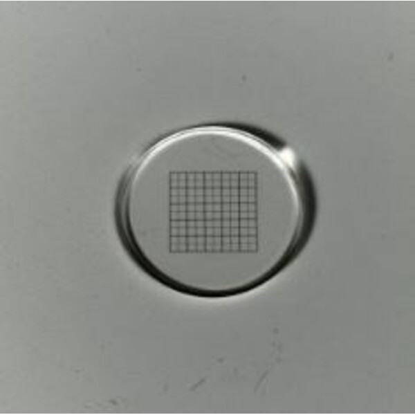 ZEISS Maskmikrometer 10x10/5:10, d=21 mm