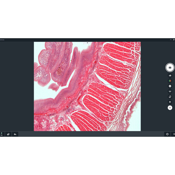 ZEISS Programvara Software Labscope Modul Multi Channel DLic