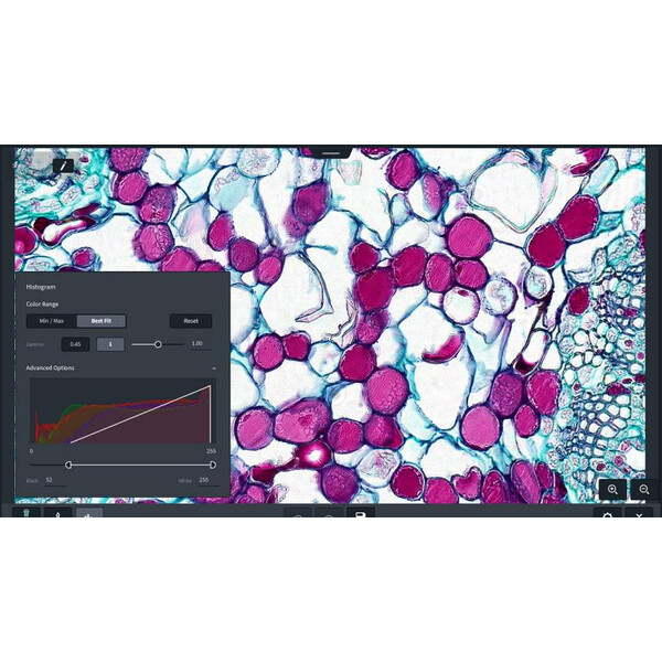 ZEISS Programvara Software Labscope Modul Multi Channel DLic