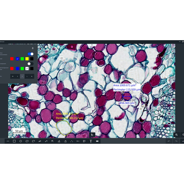 ZEISS Programvara Software Labscope Modul Multi Channel DLic