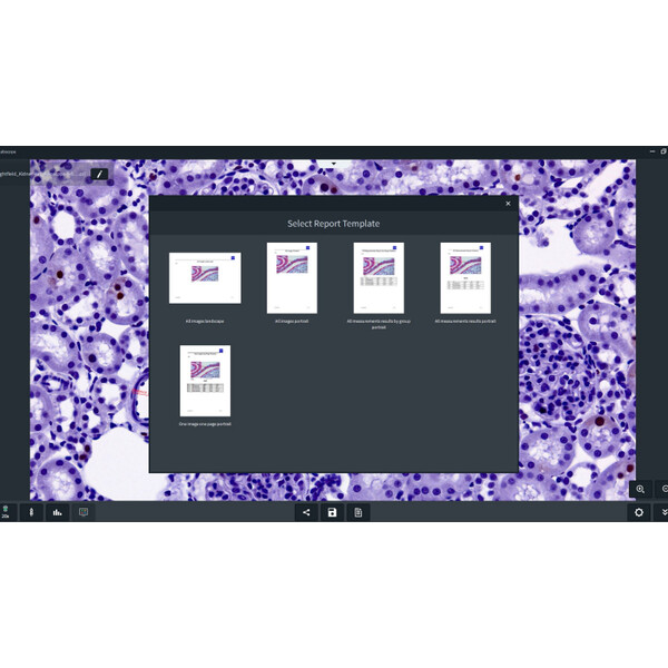 ZEISS Programvara Software Labscope Modul Multi Channel DLic