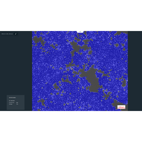ZEISS programvara Labscope-modul AI Cell Confluency DLic