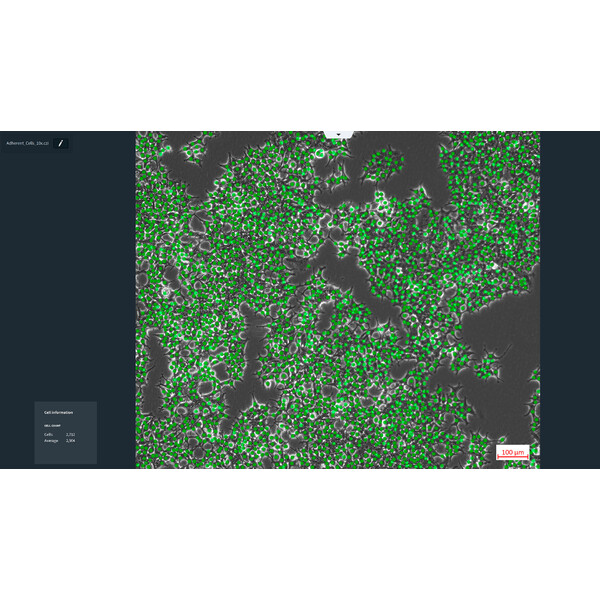 ZEISS programvara Labscope-modul AI Cell Counting DLic
