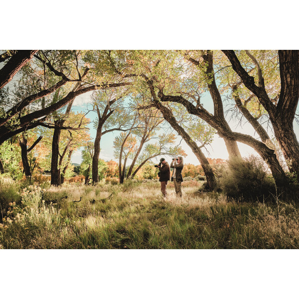 Swarovski Kompakt tubkikare AT Balance 18-45x65