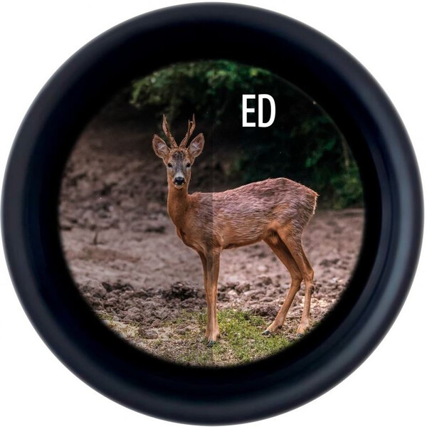 Minox Kikare X-Tour 10x42