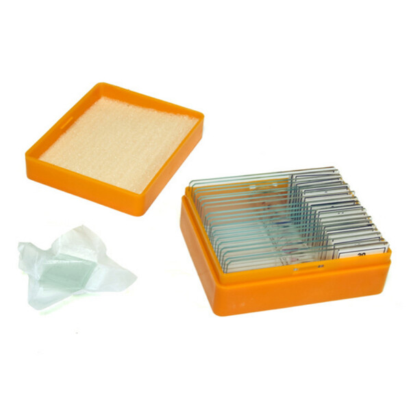 Levenhuk Permanenta preparat N20 NG