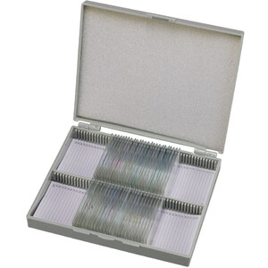 Bresser Permanenta preparat Histologi 30 stycken