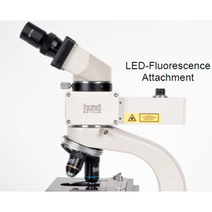 Hund Fluorescens-illuminator Myko