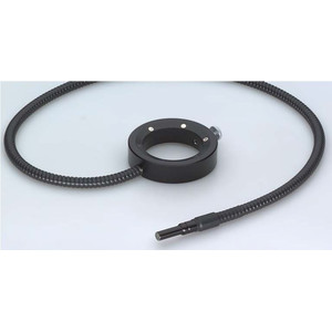 SCHOTT Ringlampor, Ø i=66 mm för KL-300