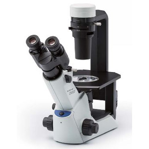 Evident Olympus Invert mikroskop Olympus CKX53 ljusfält V1, trino, oändlighet, plan achro, 4x, 10x, LED