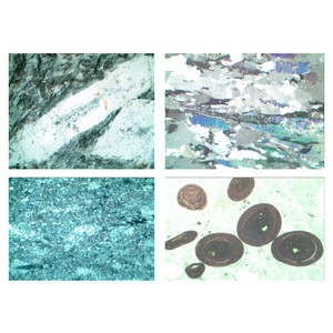 LIEDER Tunna snitt serie V Sedimentära bergarter (sedimentites) (22 bilder)