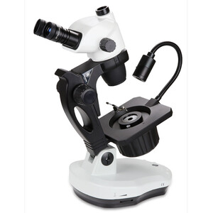 Euromex Zoom-stereomikroskop NZ.1703-GEML, NexiusZoom Evo, 6,5x till 55x, gemologi , 30W 6V halogen genomlyst, 1W LED incident belysning