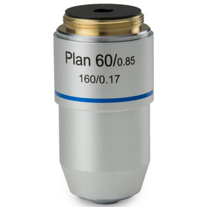 Euromex Objektiv S100x/1,25 platt, fjäder, olja, DIN, BB.8800 (BioBlue.lab)