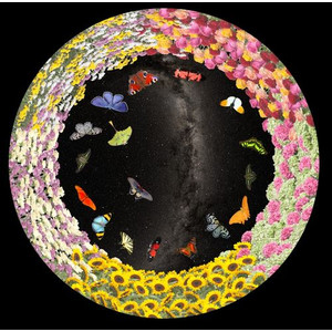 astrial Slide för Sega Homestar Planetarium Blommor och fjärilar