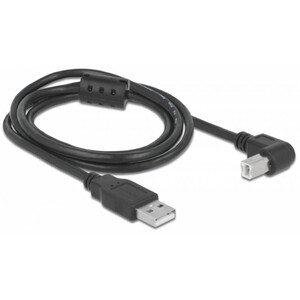 PegasusAstro USB-kabel uppsättning 2x USB2.0 Typ-B 1m