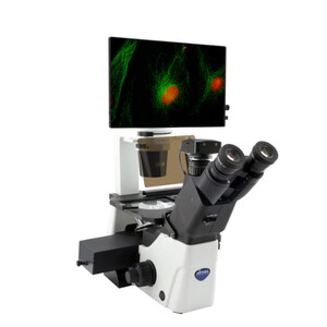 IM-300LD4D digitalt inverterat LED-fluorescensmikroskop, 400x, IOS LWD PLAN F, 4 tomma filterslots