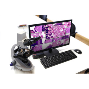 Optika Mikroskop OWL (-WI-LEARN) Teacher Station - B-290