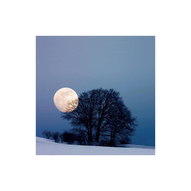 Tushita Verlag Kalender Moon Power 2009