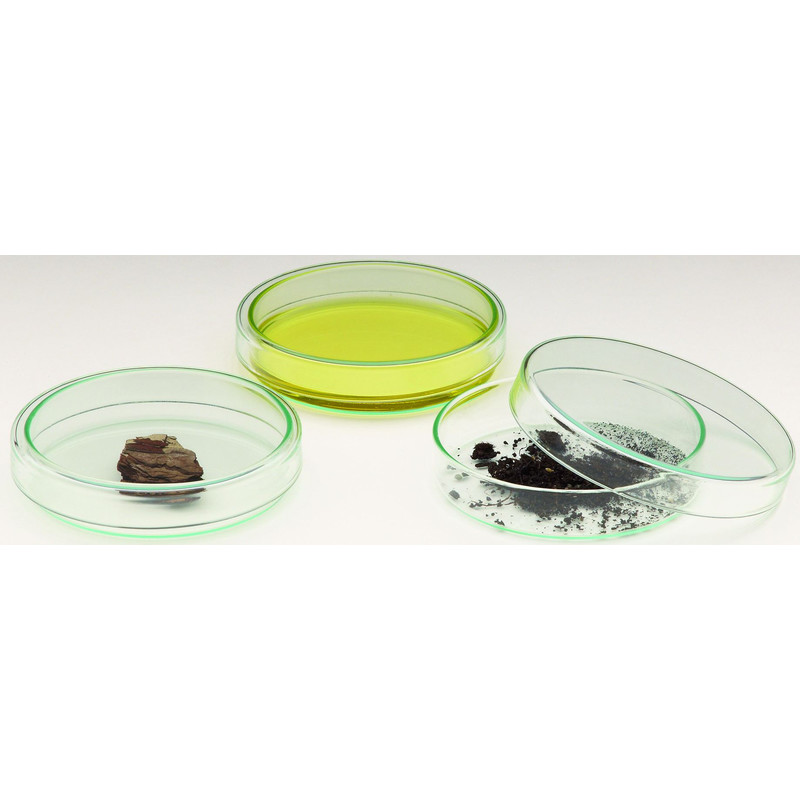 Windaus Petriskål 60x15mm, glas med spilllock