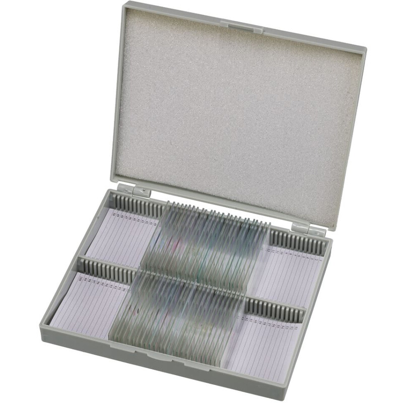 Bresser Permanenta preparat Histologi 30 stycken