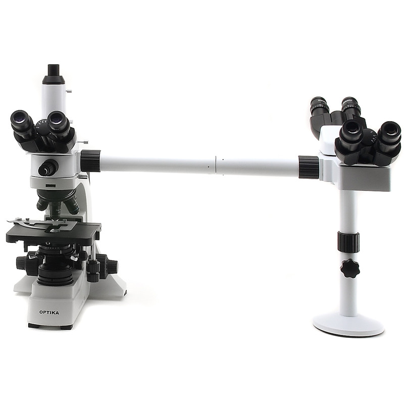 Optika B-500Ti-3, diskussionsmikroskop, 3 huvuden, trinokulärt, 1000x, LED