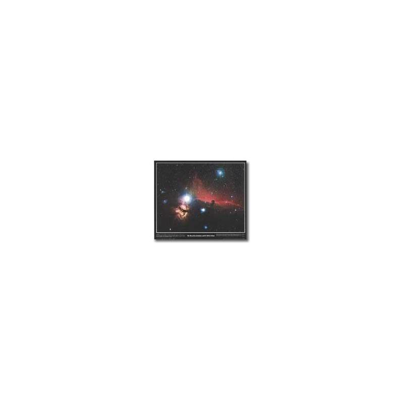 Poster Nebulosan med hästhuvudet