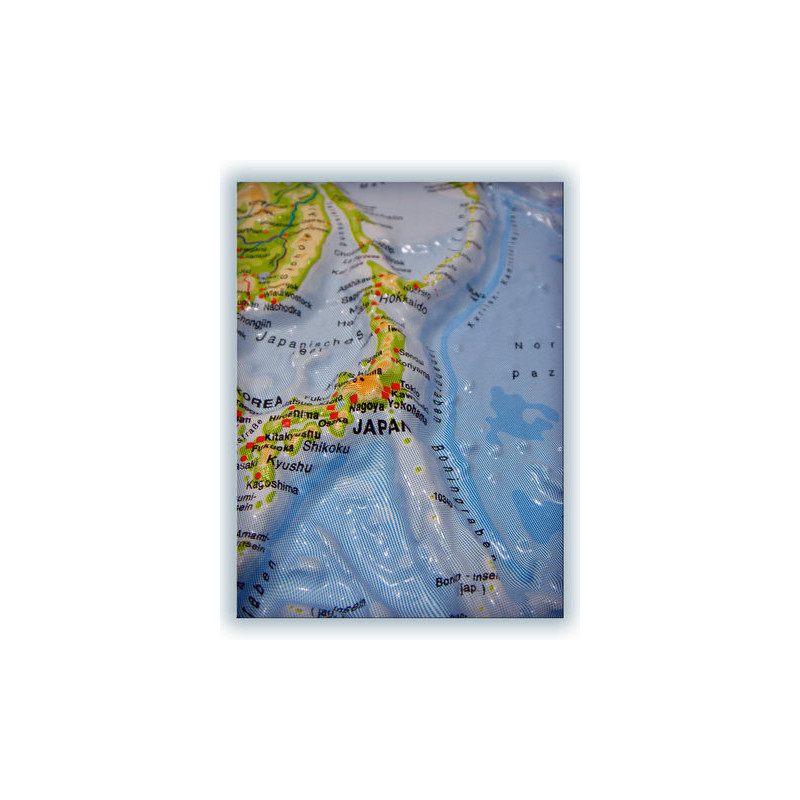 geo-institut Världskarta Reliefkarta Världen Silverlinje fysisk
