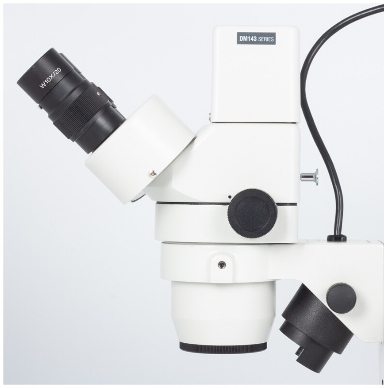Motic Zoom-stereomikroskop DM-143-FBGG, Stereo