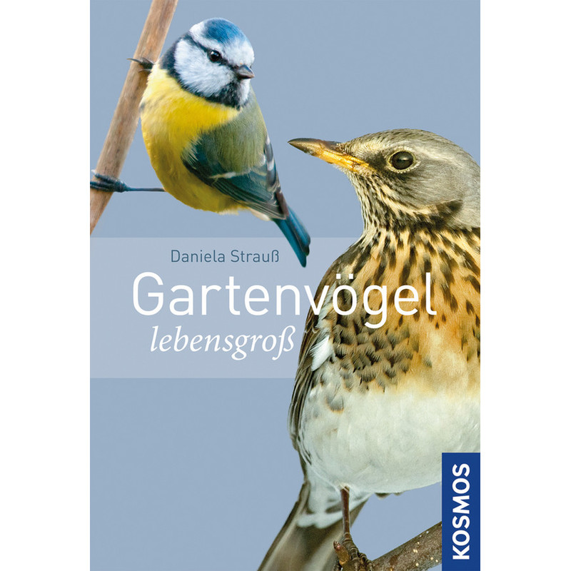 Kosmos Verlag Trädgårdsfåglar i naturlig storlek