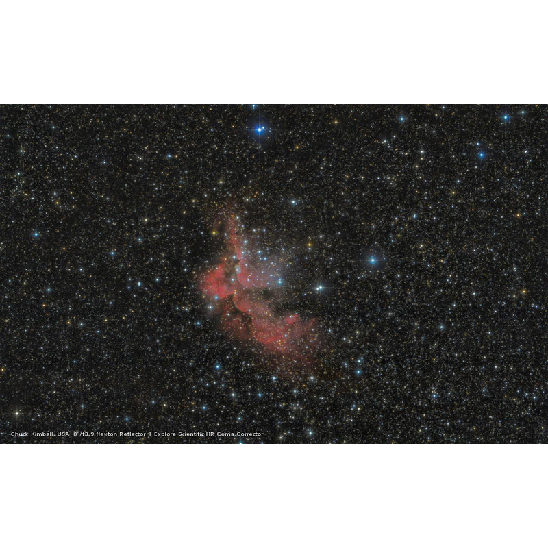 Bresser Teleskop N 203/800 Messier NT 203S Hexafoc EXOS-2 GoTo