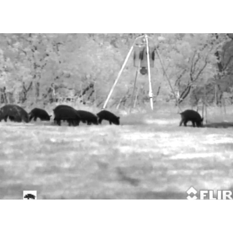 Armasight Värmekamera Command 336, 8-32x100 (60 Hz)