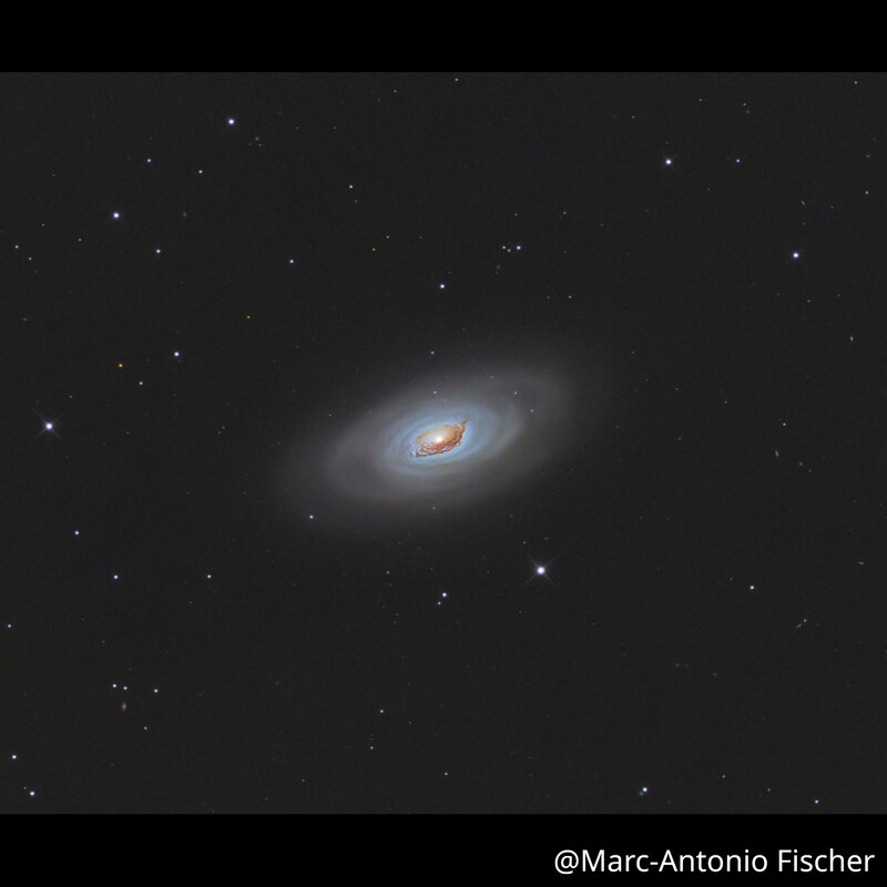 Omegon Teleskop Pro Astrograph 254/1016 OTA