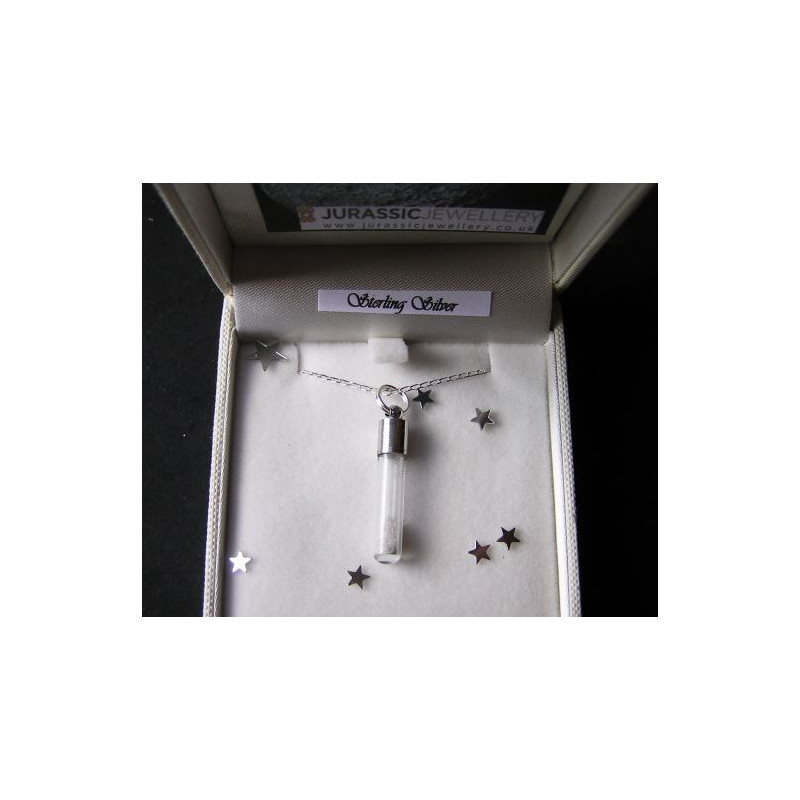 Jurassic Jewellery Meteoriter halsband med månstoft (vial)