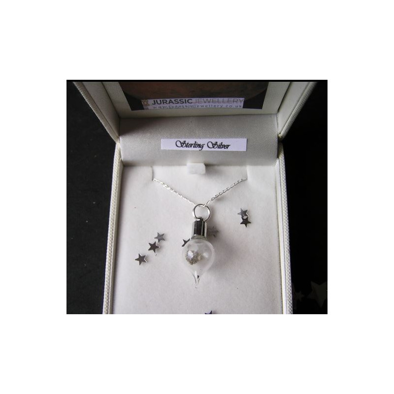 Jurassic Jewellery Meteoriter Halsband med Mars-stoft (droppform)