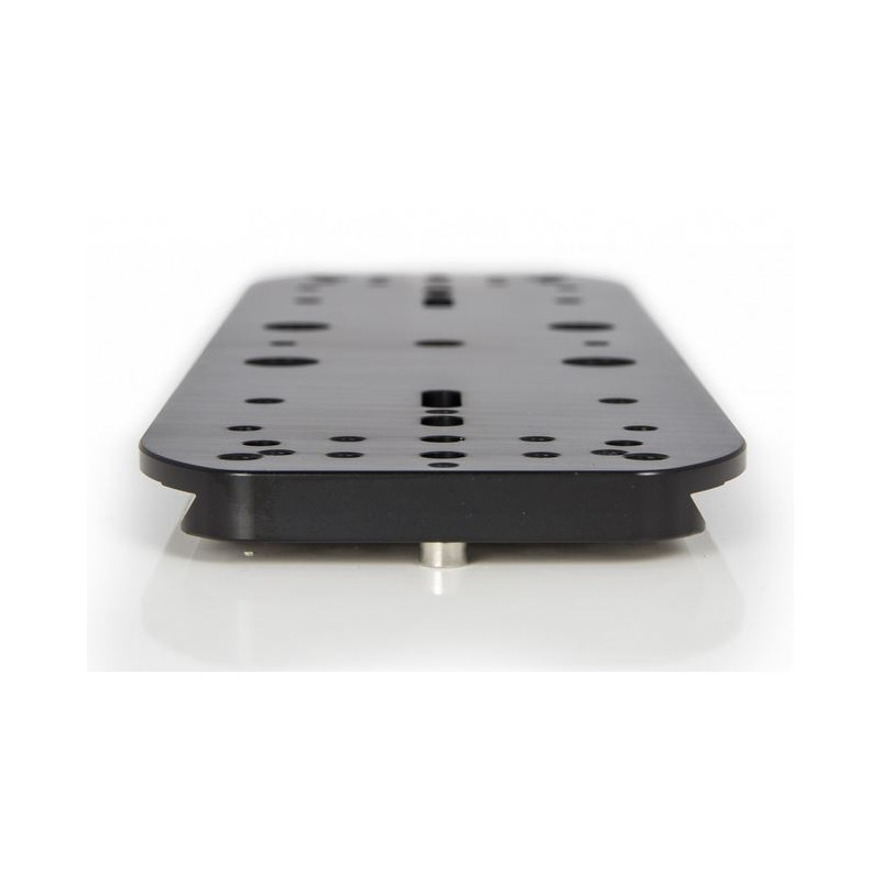 Baader Basplatta för tubringar och dubbel monteringsplatta 300 mm Losmandy-stil