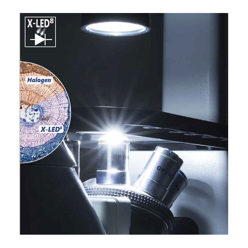 Optika -mikroskop IM-3FL4-UK, trino, inverterad, FL-HBO, B&G-filter, IOS LWD U-PLAN F, 100x-400x, UK
