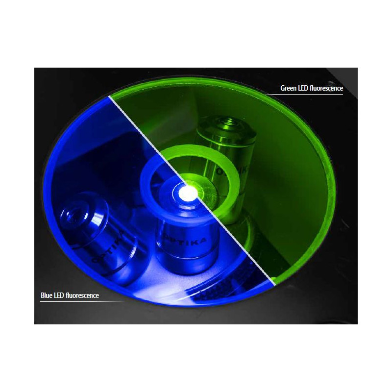 Optika mikroskop IM-3FL4-UK, trino, inverterad, FL-HBO, B&G filter, IOS LWD U-PLAN F, 100x-400x, UK