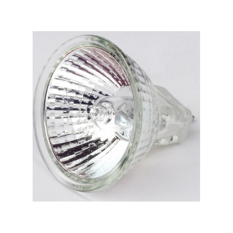 Motic Halogen ersättningslampa 12V/10W för R2GG-stativ (Direktljus) (SMZ-161)