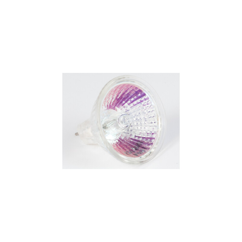Motic Halogen ersättningslampa 12V/20W, Transmitterat ljus, (R2GG stativ) (SMZ-161)