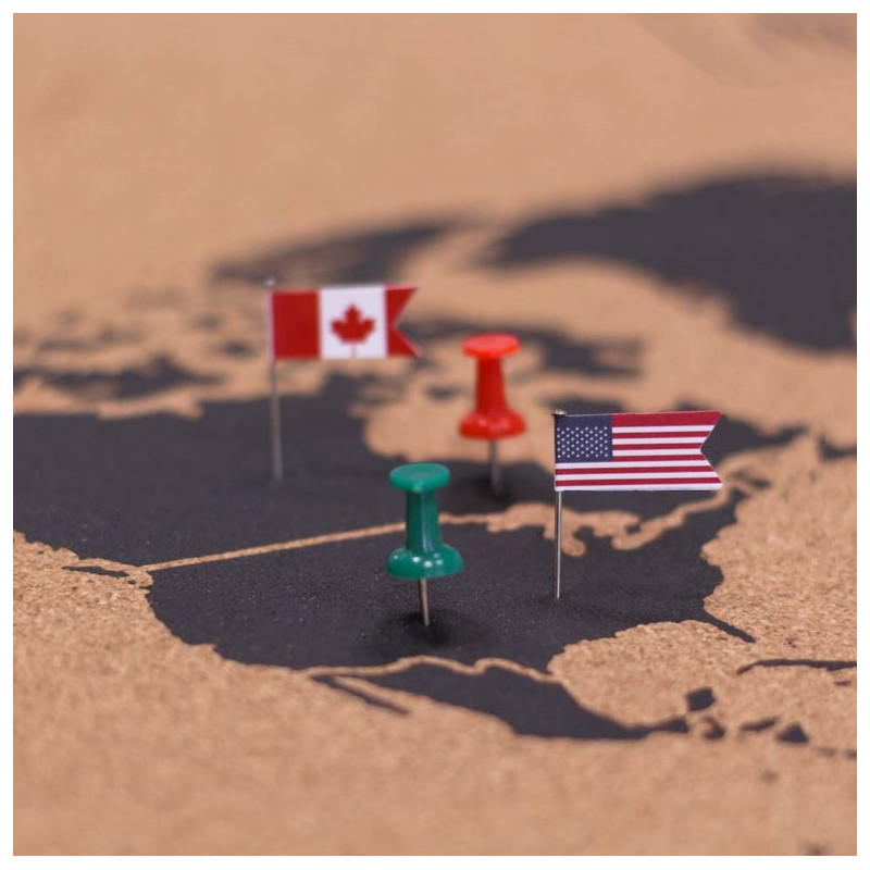 Miss Wood Världskarta Woody Map Natural Cork L black