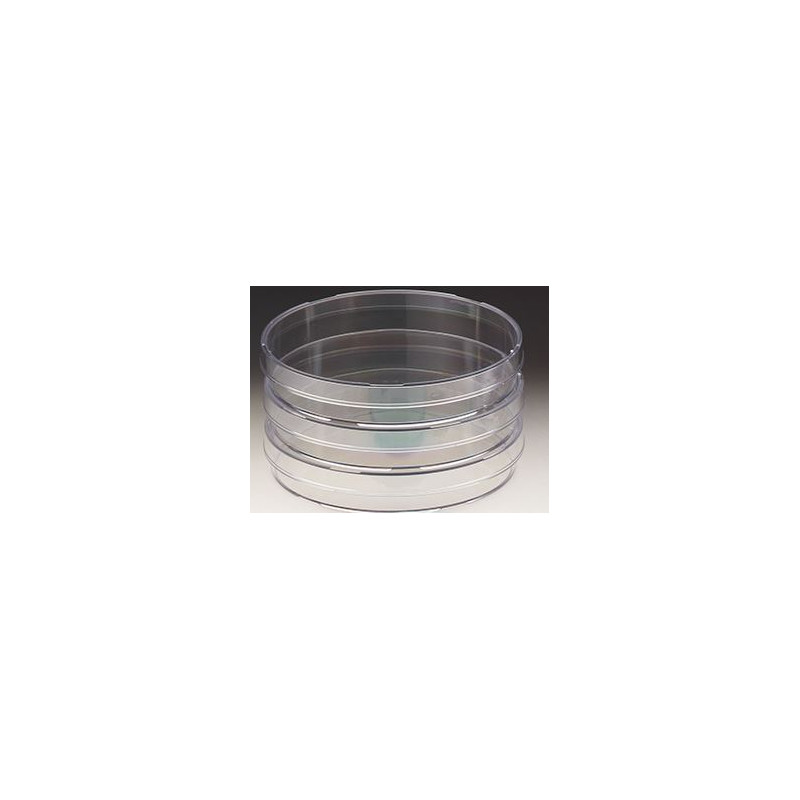 Omegon Digistar stereomikroskop, 600x, LED, naturalistset - strand