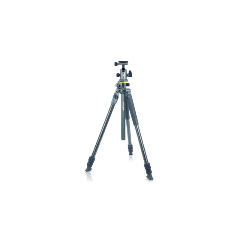 Vanguard Kolfiber-trebensstativ Alta Pro 2+ 263CB 100