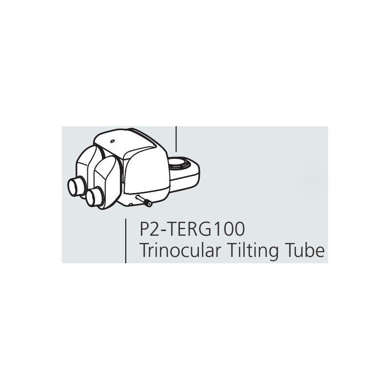 Nikon Stereohuvud P2-TERG 100 trino ergo tube (100/0 : 0/100), 0-30°