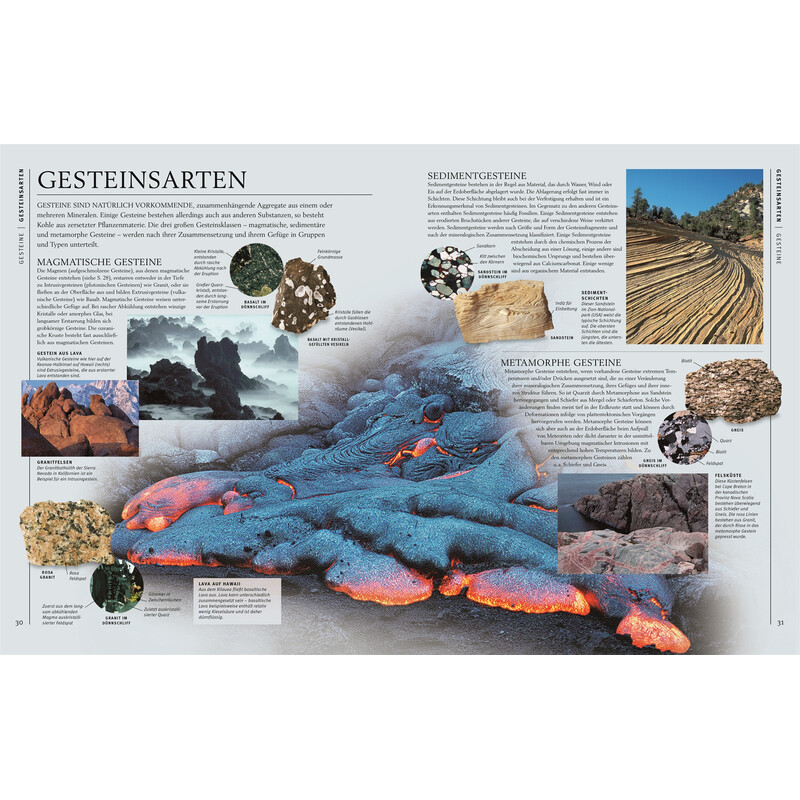 Dorling Kindersley Steiner & mineraler