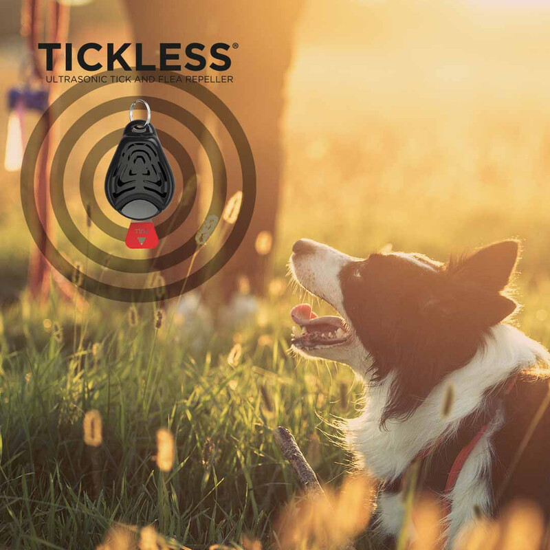 Tickless Husdjur