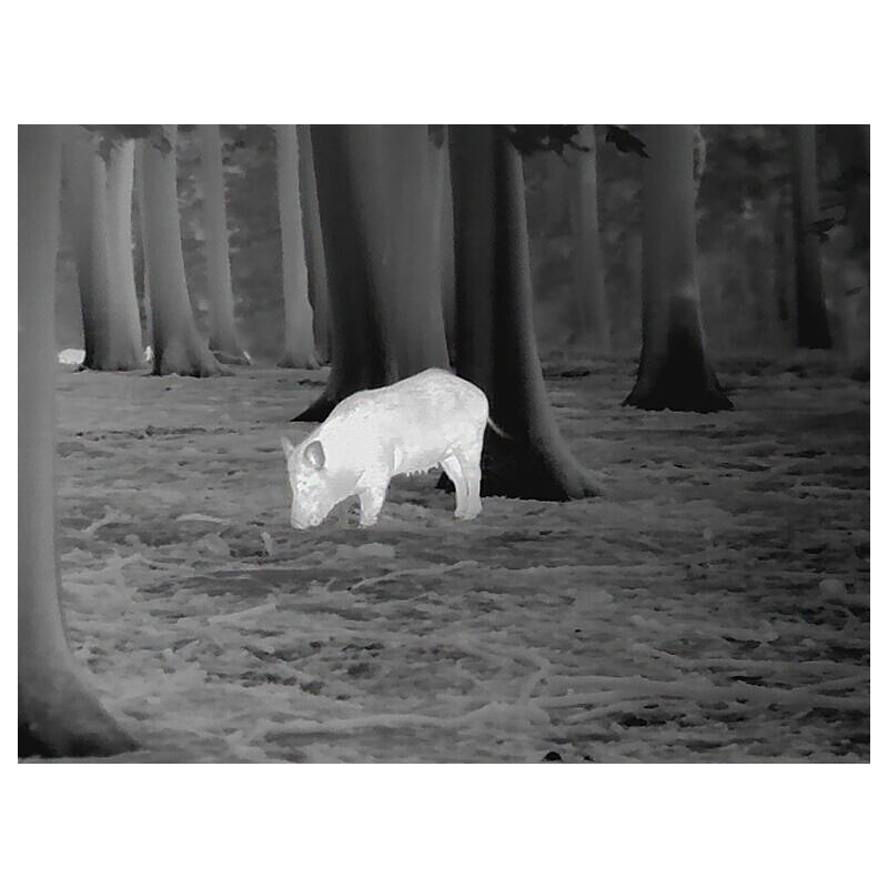 Leica Värmekamera Calonox View