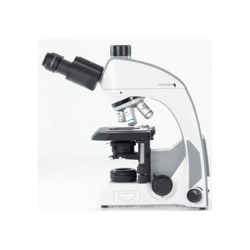 Motic -mikroskop Panthera C, trino, oändlighet, plan, achro, 40x-1000x, halogen