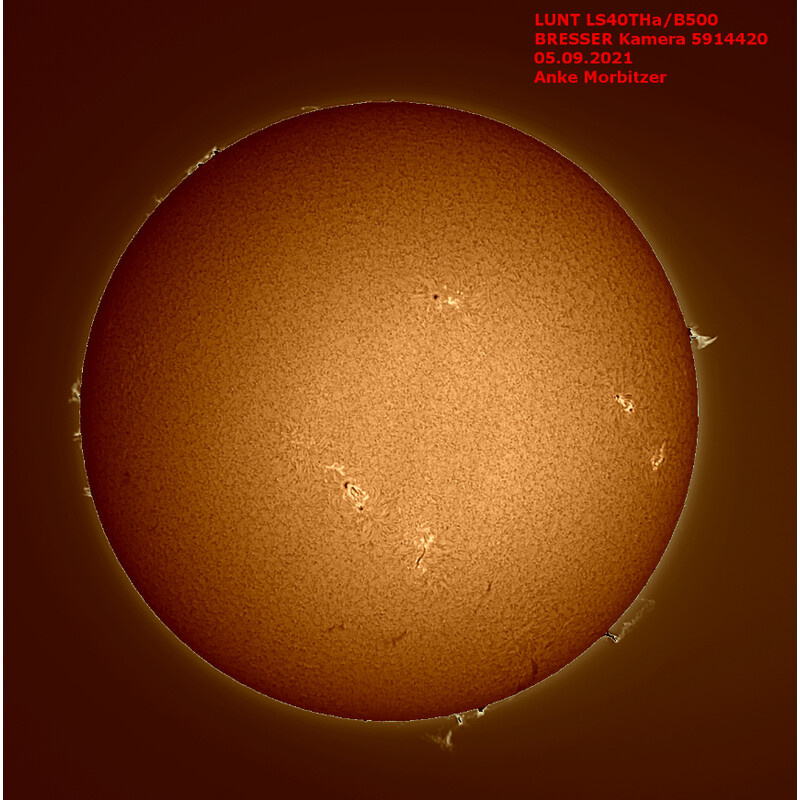 Lunt Solar Systems Solteleskop ST 40/400 LS40T Ha B1200