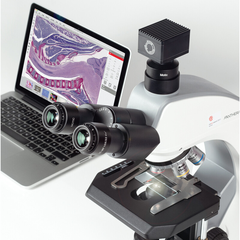 Motic Mikroskop Panthera C2 Treglasögat, oändlighet, plan, achro, 40x-1000x, 10x/22mm, Halogen/LED